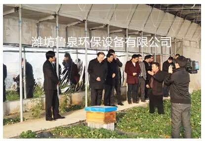 ����(ji��)ǰ��������ɽ���r(n��ng)�ƈ@��ϲ������Ȫ���B(t��i)ˮ��ȷNֲ�ă�(y��u)�|(zh��)��ݮ�������@�^(q��)���a(ch��n)���������������ʼҿڸ�!